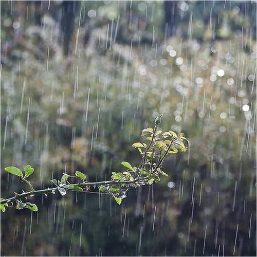 我喜欢夏雨