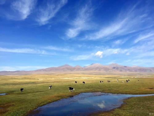 游览蒙古草原