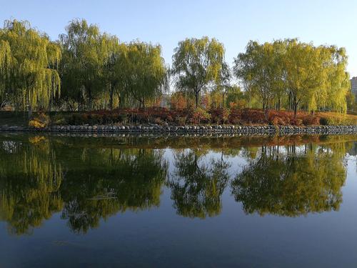 美丽的故乡滨湖河