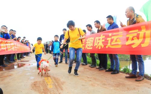 野外游戏