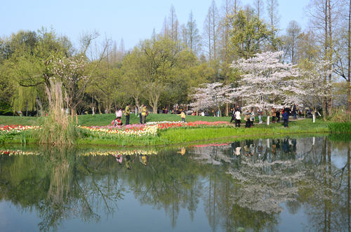 美丽的太子湾公园