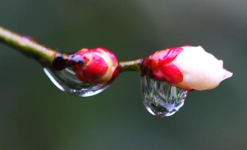 心中有雨