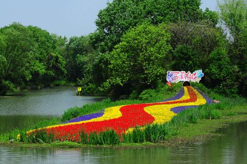 西溪湿地花节