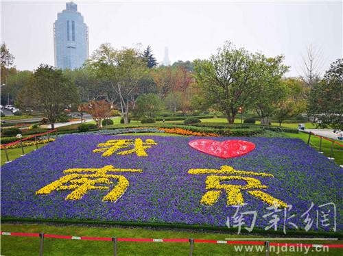 我喜欢校园里的花坛