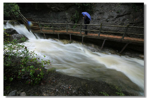 山中雨