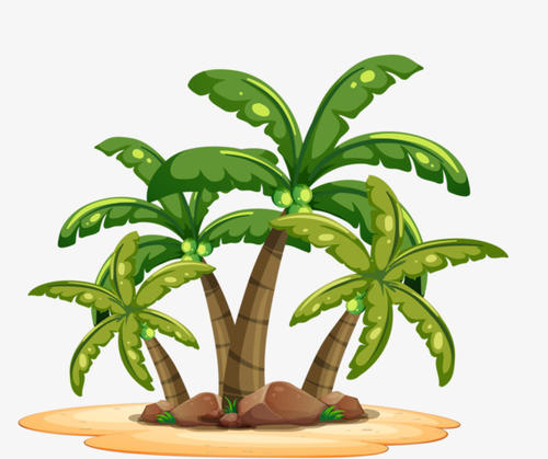 复合椰子树的叙述