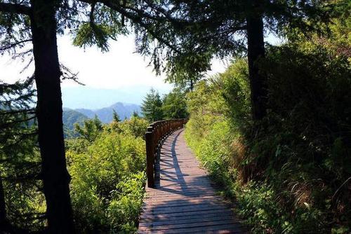 森林公园登山