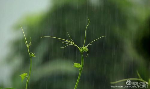 春雨启程