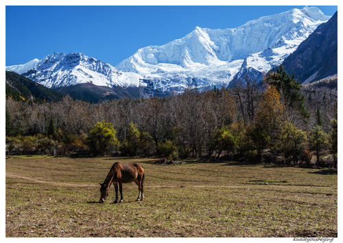 雪山