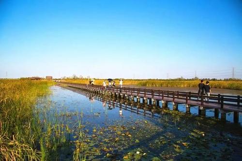 杭州湾湿地公园