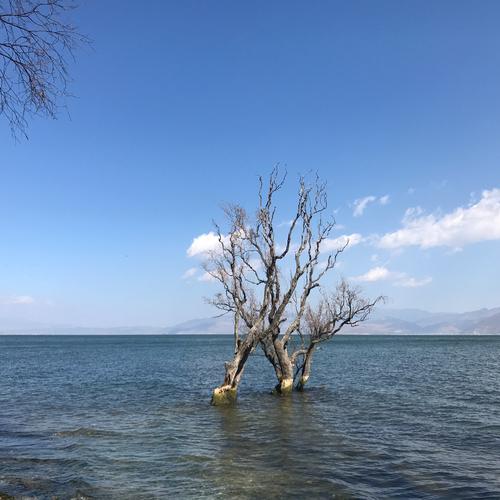 没有风景的熟悉的地方