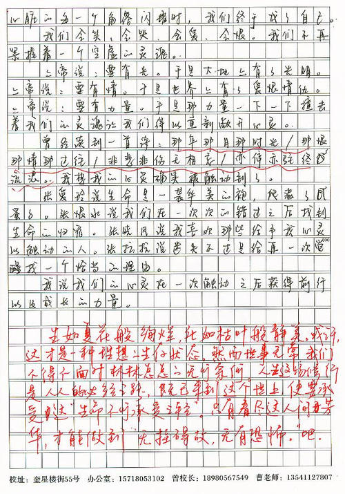 我也追星作文600字