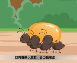 小蚂蚁豌豆