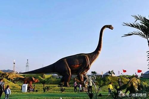 参观恐龙公园