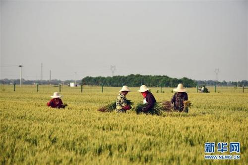 2020年非同寻常的一年