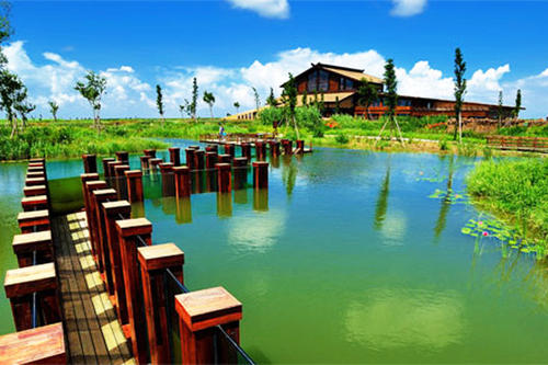 美丽的杭州湾湿地公园