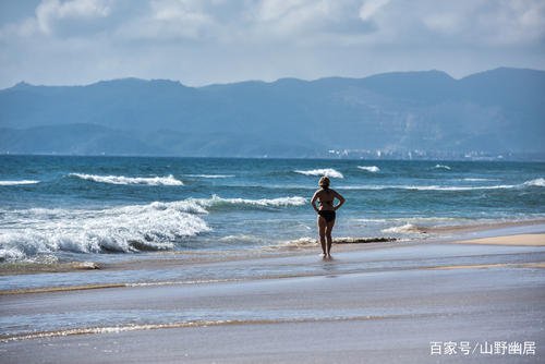 大海飞走了