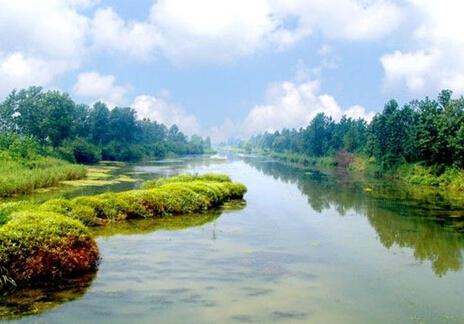秦湖美丽的湿地公园