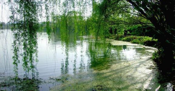 蒙蒙细雨