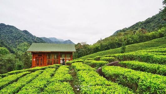 风景是你