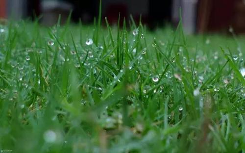 凉爽的雨天