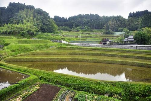 有趣的农村