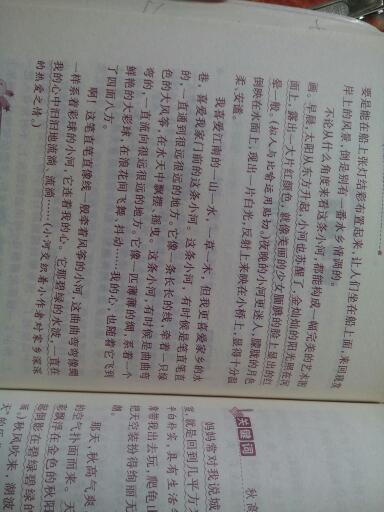 巡回赛，400字