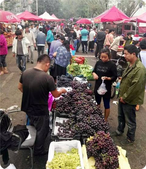 热闹的菜市场作文300字三年级