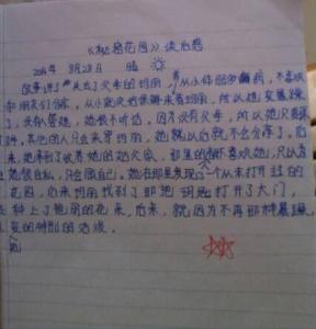 400字组成的狐狸的故事