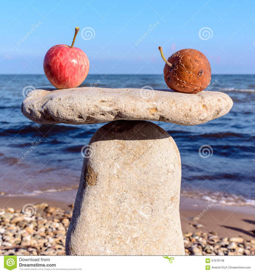 苹果和石头