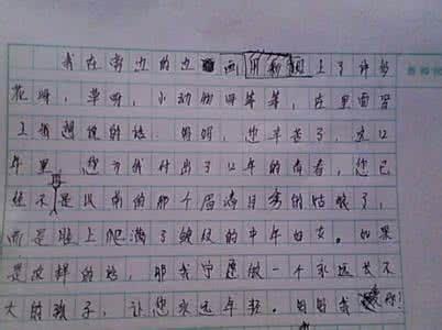 关于清明的500字作文