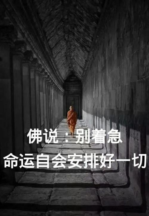 我追求生活