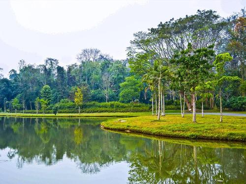 游览三亚热带植物园