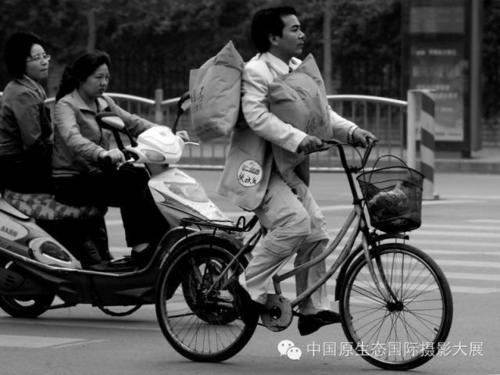 共享自行车的共同年龄
