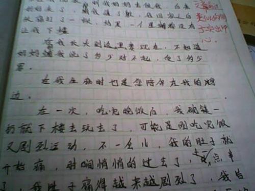 我的教学建设组成600字