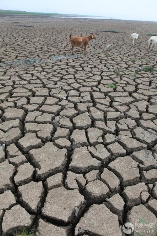 地球语