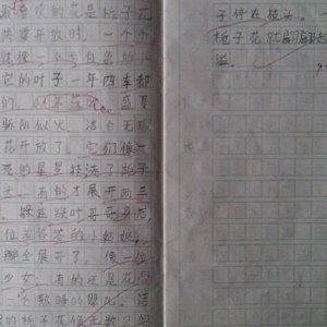 芬芳电影回500字