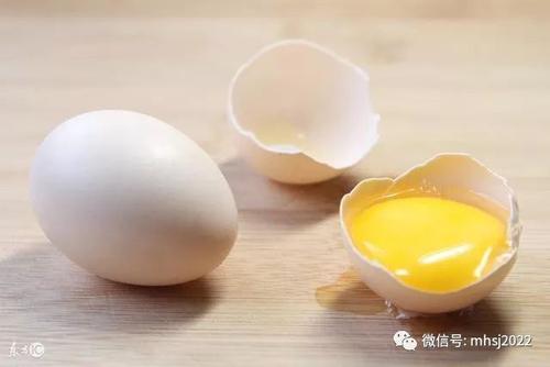 鸡蛋变银蛋的实验作文