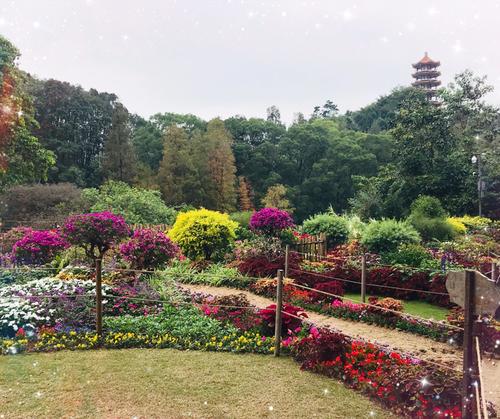 仙子湖植物园旅行须知