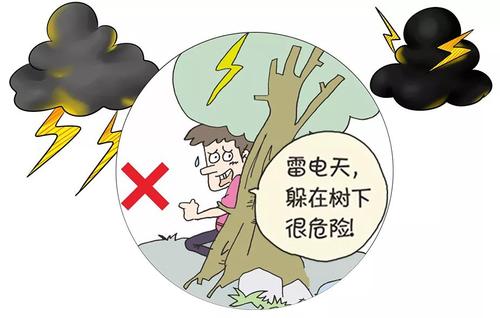 无法避免在大树下雨