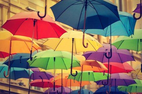 分享雨伞