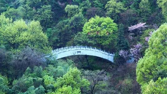 反转一个美丽的风景