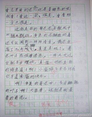 温暖的成分400字