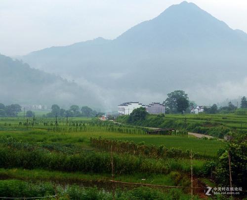 山村风光