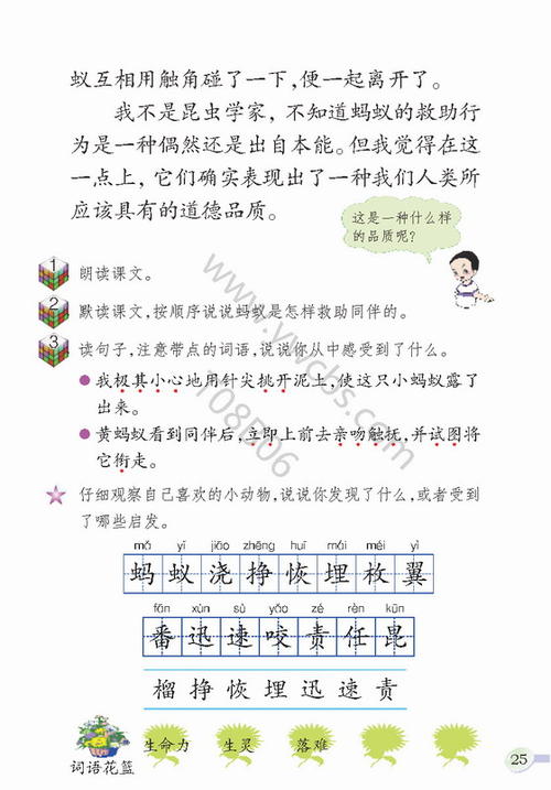 阅读后蚂蚁救援