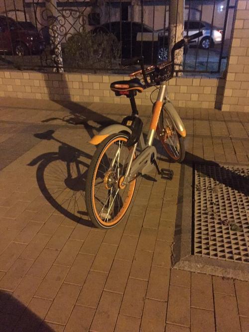 一个被叫的自行车