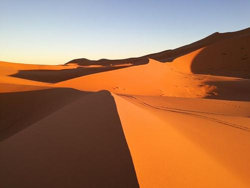 神奇的冒险旅程组成撒哈拉沙漠