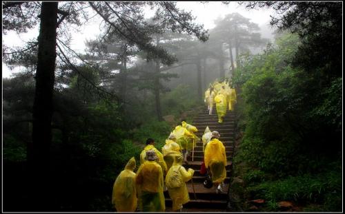 黄山在雨中