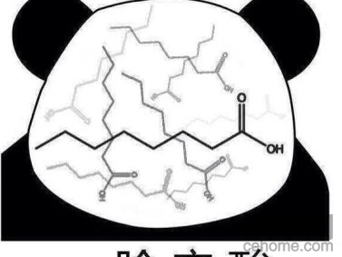 害怕去想