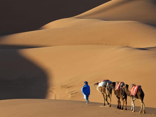 撒哈拉沙漠冒险之旅